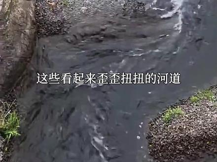 为什么要在河道修建这种不走人的楼梯? #鱼梯 #鱼道