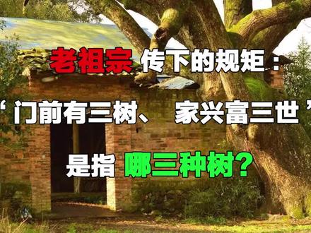 老祖宗传下的规矩:“门前有三树、家兴富三世”,是指哪三种树?