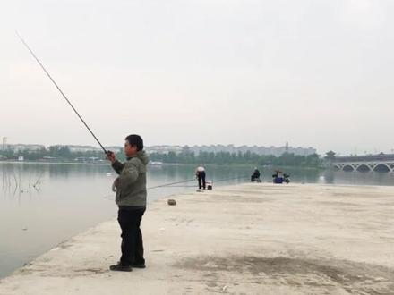 迟到一周的成绩汇报。
路亚练习时长4个月,22克裸板终于突破120米。#路亚 #远投 #水滴轮远投