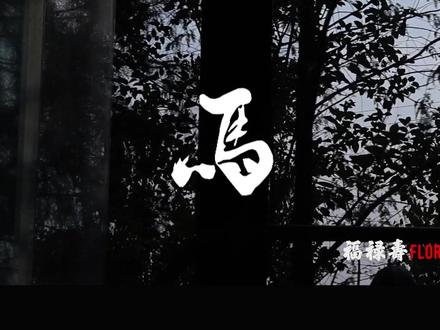 第一个短片作品,MV《马》福禄寿#情绪短片