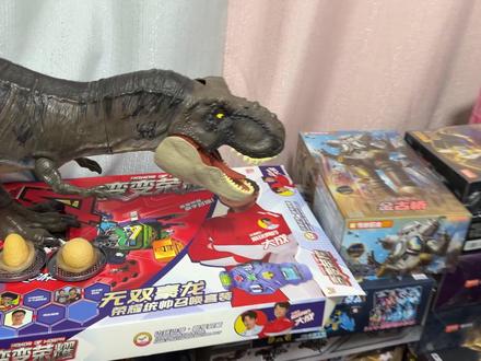 草丛发现恐龙蛋化石,混合四种食肉恐龙基因,培育暴虐霸王龙 #恐龙玩具 #变变荣耀 #恐龙蛋