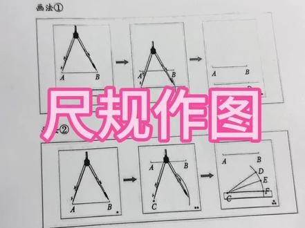 苏教版三下第一单元角
尺规作图画法①#三下数学 #抖音小肋手