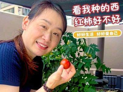 我也曾执着一些事,后来才醒悟:我应该好好生活,好好爱自己,生活不是对抗,是和解--和自己,和时光,和世界,和所有的不完美。#真实生活分享计划 #我的乡村生活