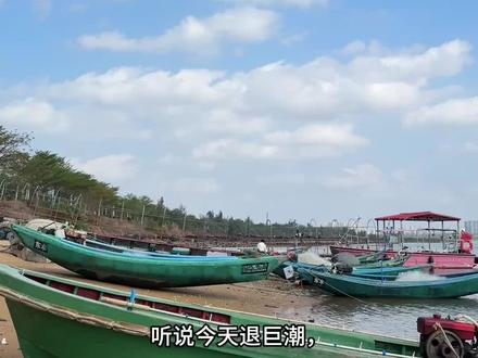 东水港赶海啦#赶海#海鲜