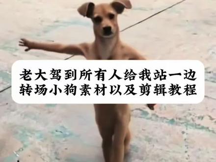 老大驾到所有人给我站一边转场小狗素材以及剪辑教程#所有人给我站一边 #老大驾到所有人给我站一边 #先天小狗圣体转场小狗 #先天小狗圣体特效教程 #剪映 老大驾到所有人给我站一边小狗 所有人给我站一边小狗素材 老大驾到小狗转场 老大驾到所有人给我站一边老大驾到所有人给我站一边原版 所有人给我站一边 老大驾到所有人给我站一边变装 老大驾到所有人给我站一边特效 老大驾到小狗转场教程 先天小狗圣体转场小狗素材 老大驾到小狗素材 老大驾到小狗转场 老大驾到小狗转场怎么做 老大驾到小狗动图 小狗特效转场教程 先天小狗圣体转场小狗 老大驾到小狗转场表情包 所有人给我站一边小狗素材 所有人给我站一边手势舞 所有人给我站一边小狗 所有人给我站一边原视频 所有人给我站一边转场小狗 所有人给我站一边特效教程 所有人给我站一边转场 先天小狗圣体转场小狗 所有人给我站一边转场小狗教程 所有人给我站一边转场小狗剪辑技巧 所有人给我站一边转场小狗 所有人给我站一边转场小狗打拳视频 小狗特效转场教程 先天小狗圣体转场小狗怎么剪辑 先天小狗圣体转场小狗怎么拍 小狗挥手立正原视频 先天小狗圣体转场小狗素材 先天小狗圣体转场小狗特效 先天圣体转场特效怎么拍 所有人给我站一边小狗素材 先天小狗圣体转场小狗素材无水印 小狗打拳转场 小狗打拳 ai生成 小狗打拳原视频 先天小狗圣体小狗特效 先天小狗圣体特效变狗 先天小狗圣体特效教程特效 先天小狗圣体转场小狗怎么剪辑 先天小狗圣体特效变狗素材 小狗特效转场教程 先天小狗圣体视频剪辑教程
先天小狗圣体怎么剪辑模板 先天小狗圣体专场自己怎么剪辑
先天小狗圣体剪辑模板 先天小狗圣体视频素材 先天小狗圣体拍摄教程 先天小狗圣体剪辑教程男 先天小狗圣体怎么剪辑图片先天小狗圣体视频剪辑 小狗打拳转场特效 小狗打拳转场 小狗打拳原视频 小狗打百家拳 小狗打拳表情包 所有人给我站一边小狗创意转场 所有人给我站一边怎么剪辑 小狗转场视频怎么制作