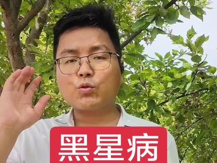 黑星病防治方案#果园管理 #新农人 #三农
