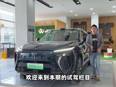 家庭出行神器,长城魏牌蓝山!#长城魏牌蓝山 #汽车