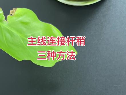 主线连接竿稍的三种方法~#绑钩教程 #绑鱼钩 #户外钓鱼