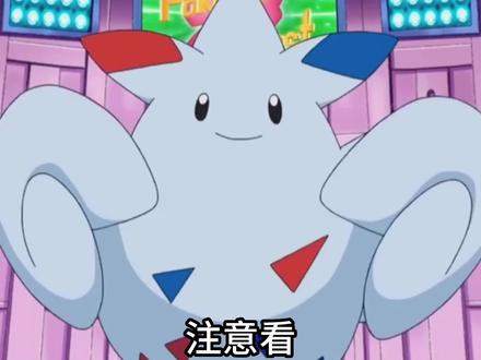 小光收服波克基斯#童年动漫 #精灵宝可梦 #神奇宝贝