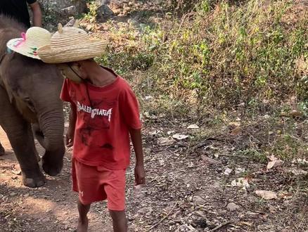 在缅甸养大象,干饭都靠自己脚踩 #缅甸生活 #大象 #大奥 #彩色宝石 #尖晶石