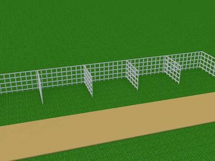 老虎、狮子、熊、大猩猩、豹子,教会宝宝英语认识动物动画