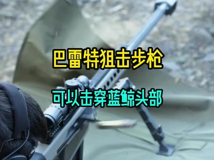 巴雷特狙击枪 可以击穿蓝鲸头部#武器科普 #军事科普 #巴雷特