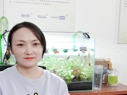 鱼医生系列(17)鱼为什么趴在缸底不动呢?是否和换水有关?#养鱼日记