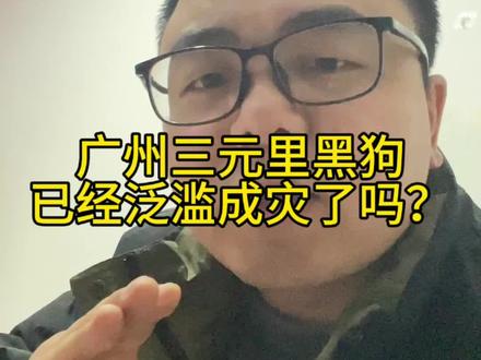 广州三元里黑狗很多吗?#广州三元里 #黑狗 #血脉觉醒