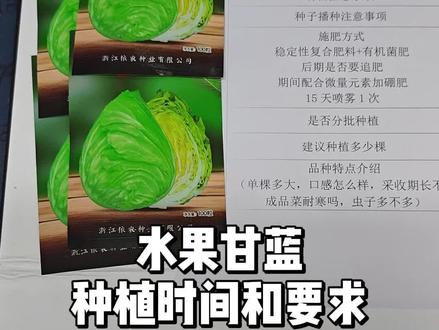 水果甘蓝什么时候种植比较好