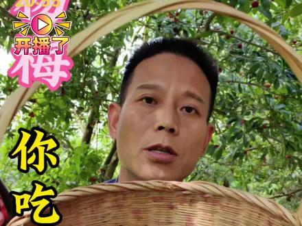 杨梅的多种吃法#杨梅 #杨梅的功效与作用