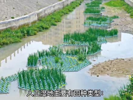 人工湿地主要有四种类型:表流型、水平潜流型、垂直潜流型及混合性四种。#人工湿地 #人工湿地填料 #人工湿地修复 #人工湿地填料 #国泰环境