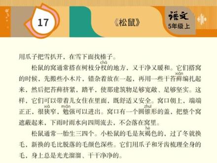 课文朗读5上-17松鼠 #小学 #语文 #学习