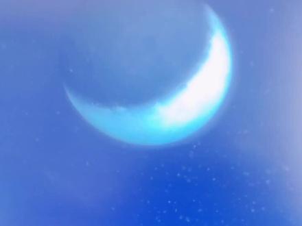 #魔兽世界幻化 #暗夜精灵#猎人 黑海岸的复仇