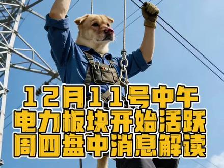 12月11号中午
电力板块开始活跃,周四盘中消息解读。
#狗头军师说电力 #摩尔线程 #电网设备#财经干货 #财经新闻