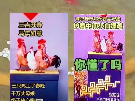 马年的春晚上了三只鸡🐔#春晚 #春晚三只鸡#春晚小品回顾 #三只老母鸡 @DOU+上热门