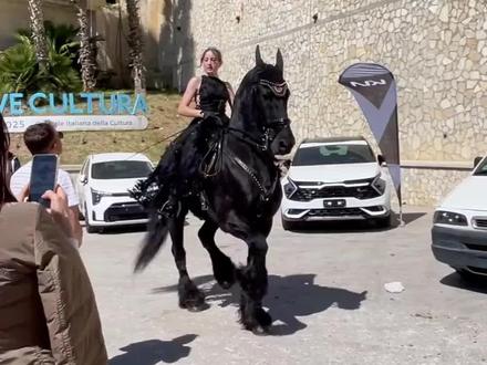 祝大家马年马上发财#科普#马 #马上发财