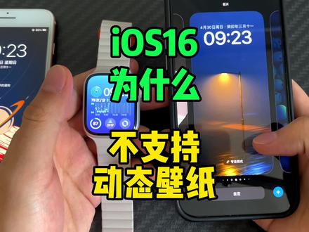 iOS16为什么不支持动态壁纸?#iOS16 #动态壁纸 #iphone #数码科技