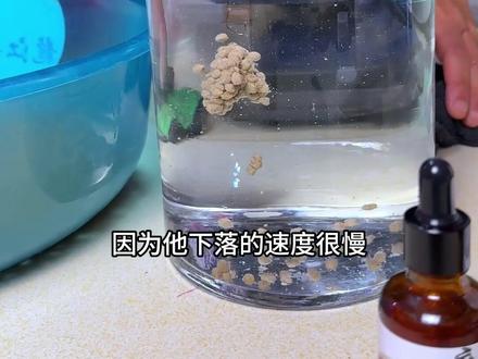 新版龙珠大泡泡球鱼饵 开饵视频