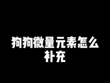 狗狗元素怎么补充?#狗狗 #宠物