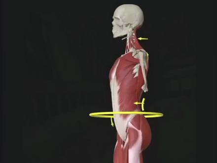 孕期这些事情你知道吗?#一个身体两个心跳 #怀孕 #孕期记录 #小孕妇日常 #孕期饮食