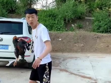 没事我溜达,抽颗华子来!华子!抽别的我掉头发@李会长