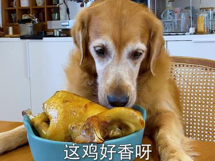 大壮,把你妈的话当放屁你是怎么做到的...#汪星人 #萌宠成精了