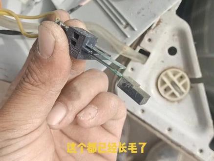 海尔波轮全自动洗衣机显示E2故障,我给你省钱,你给我点赞,顺手价格关注!你不亏😁#家电维修小刘 #洗衣机 #家电维修
