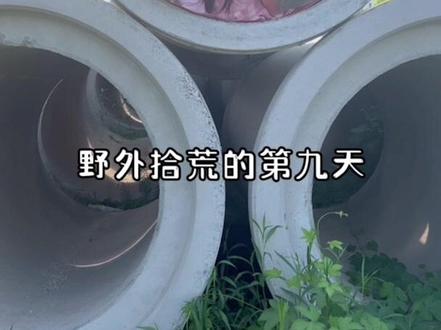 挑战流浪100天
第9天#户外 #大自然 #野外生活纪录片