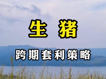 生猪期货一个解套策略#生猪 #期货 #期货交易心得