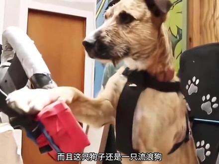 你考c2也可以,但你记住布鲁斯考的是c1