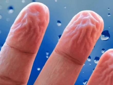 为什么手指泡水后会起皱#冷知识 #科普 #涨知识 #手