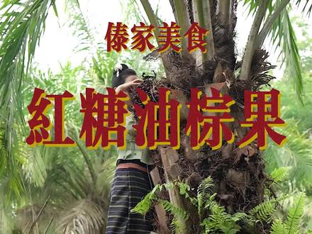 你们有吃过这种果子吗?#傣族姑娘依光扁 #西双版纳 #我的乡村生活