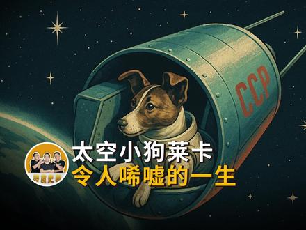 太空小狗莱卡 令人唏嘘的一生 #宠物 #太空 #航天 #小狗