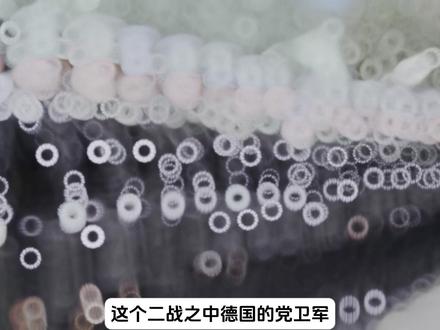 德国国防军和党卫军谁更强#二战 #德国 #军事