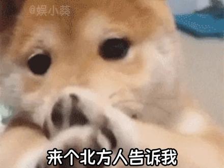 北方人为什么不喜欢吃挂面 #北方人 #挂面 #为什么