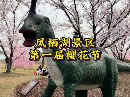 泰州凤栖湖樱花节活动来啦,拍照打卡看表演一站式遛娃!#泰州凤栖湖 #樱花节 #春假旅行 #亲子游玩好去处