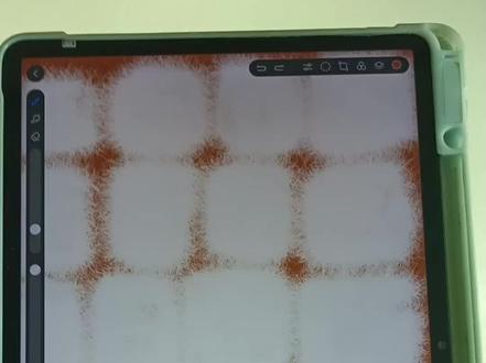 平板霉豆腐,可出教程#日常瞎画 🥰😆#霉豆腐