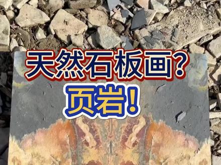 鬼斧神工的天然石板画其实就是页岩,里面还很容易找到小植物小动物化石哦!#页岩 #沉积岩 #科普