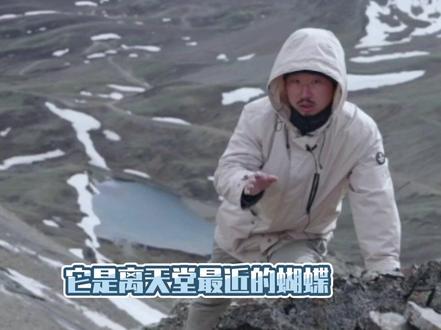 最能震撼人心的浪漫,属于大自然#无穷小亮的科普日常#自然 #植物 #科普 #浪漫