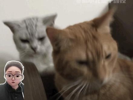 我的闺蜜!未来的追星生活就靠你了!!! #闺蜜 #暴富 #赵露思 #王嘉尔 #张凌赫