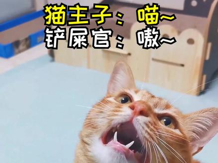 包子:过年没有更新,新年祝福送晚了不会怪我吧?#萌宠新春出道 #会唱歌的猫 #四季予你 @DOU+小助手