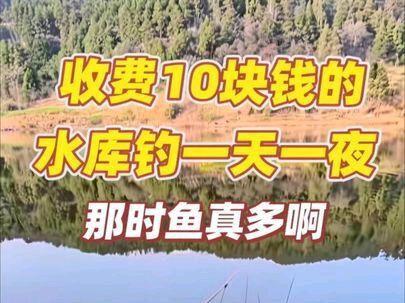 那时鱼真多啊。#钓鱼人 #鲫鱼 #爱生活爱钓鱼