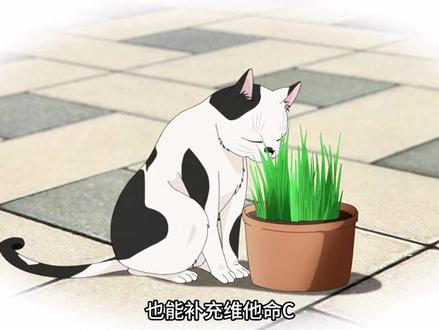 心生欢喜,咸淡相宜。 #动漫 #治愈系 #可爱 #动漫推荐 #能干的猫今天也忧郁