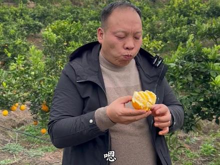这么好的脐橙滞销在园子里,看着真的很心痛,我们的能力有限,还有一万斤左右需要处,希望更多的爱心人士一起来帮帮他,万分感谢!有需要的想了解的可以找@茶陵脐橙 #乡村助农 #脐橙 #李厨小农民 #我为家乡农产品代言